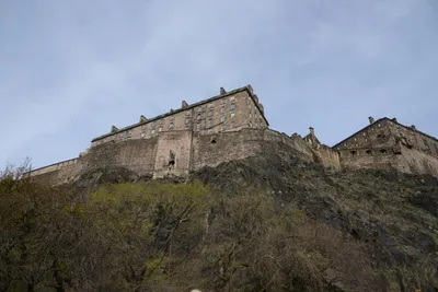 DSC_7372 (Large).JPG